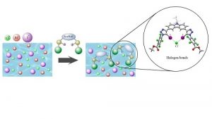 Graphical abstract